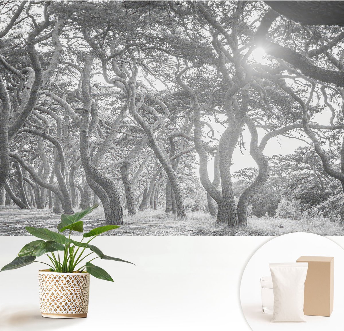 Wallfluent Fotobehang - Zwart-Wit Vliesbehang - 152x104 cm - Atmosferisch Bos Muurschildering - Gang behang Landschappen - Fotobehang Vlies - Slaapkamer behang