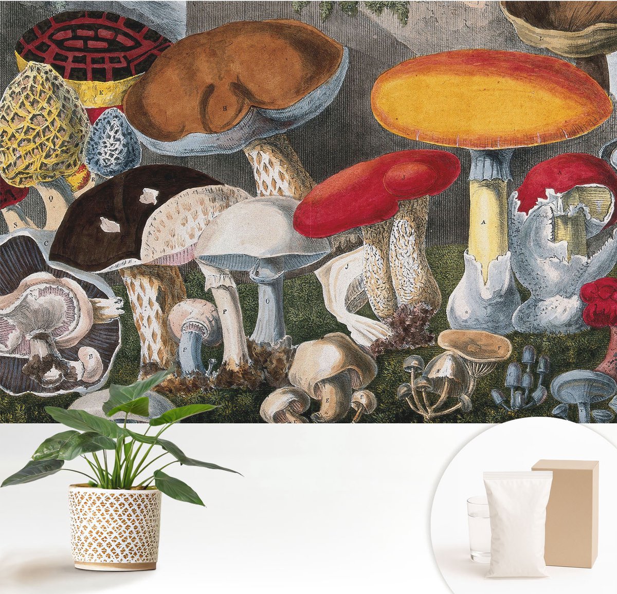 Wallfluent Fotobehang - Bruin Vliesbehang - 152x104 cm - Botanische Paddenstoelen Muurschildering - Slaapkamer behang Deel - Fotobehang Vlies - Gang behang