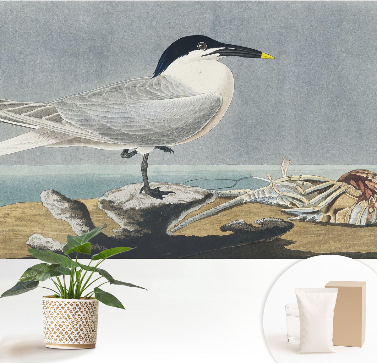 Wallfluent Fotobehang - Grijs Vliesbehang - 152x104 cm - Ornithologische Elegantie Muurschildering - Gang behang Dieren - Fotobehang Vlies - Slaapkamer behang