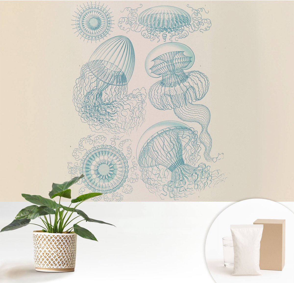 Wallfluent Fotobehang - Wit Vliesbehang - 152x104 cm - Zeekwal Fotobehang Vlies - Woonkamer behang Deel - Muurschildering - Woonkamer behang
