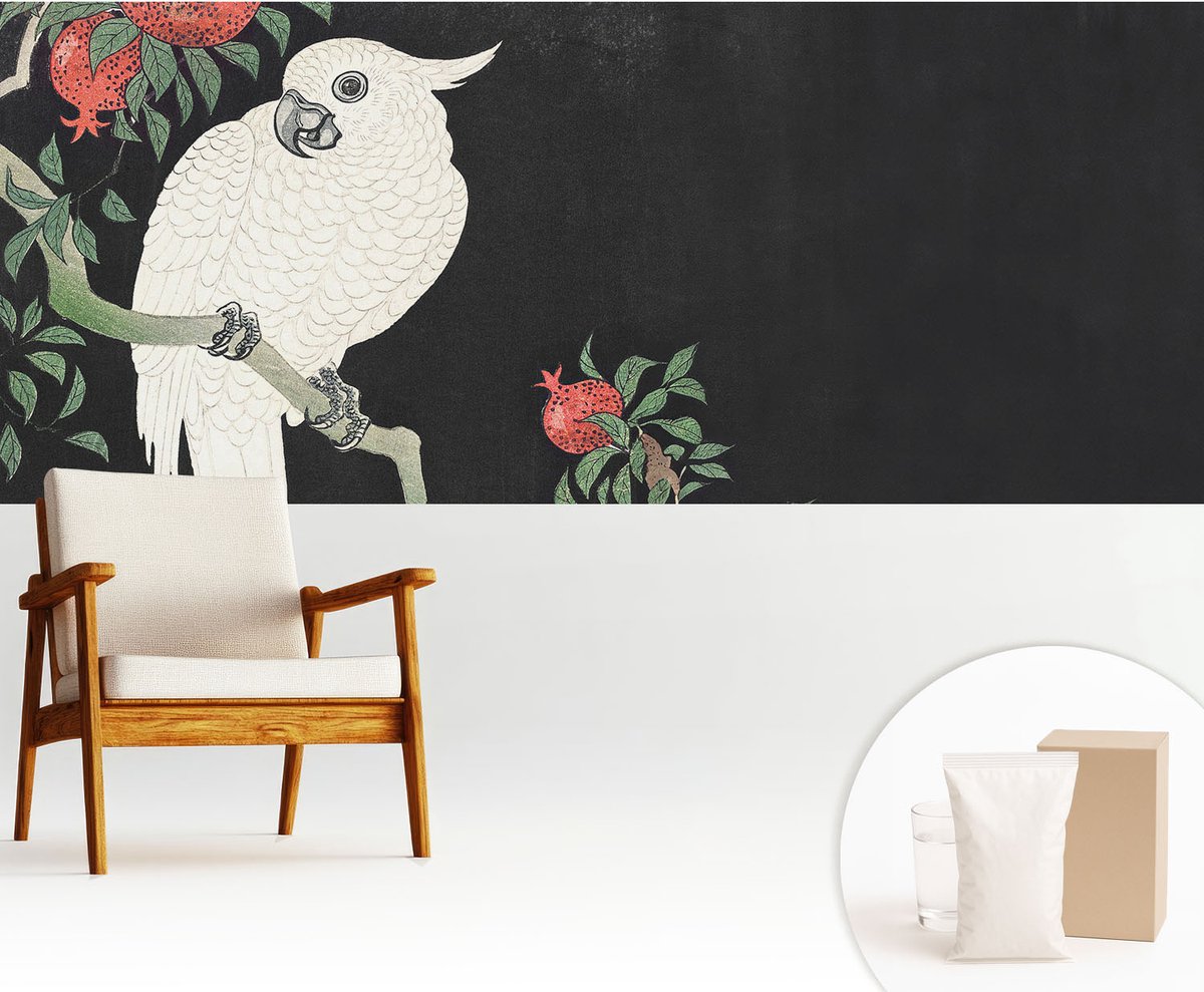 Wallfluent Fotobehang - Zwart Vliesbehang - 250x104 cm - Granaatappelpapegaai Muurschildering - Slaapkamer behang Dieren - Fotobehang Vlies - Slaapkamer behang