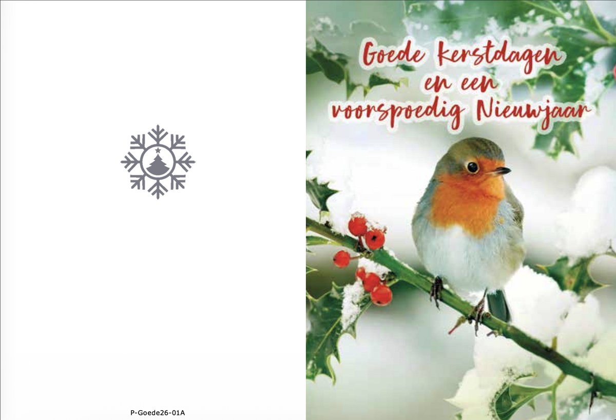 Kerstkaarten box Goede 1 Bird
