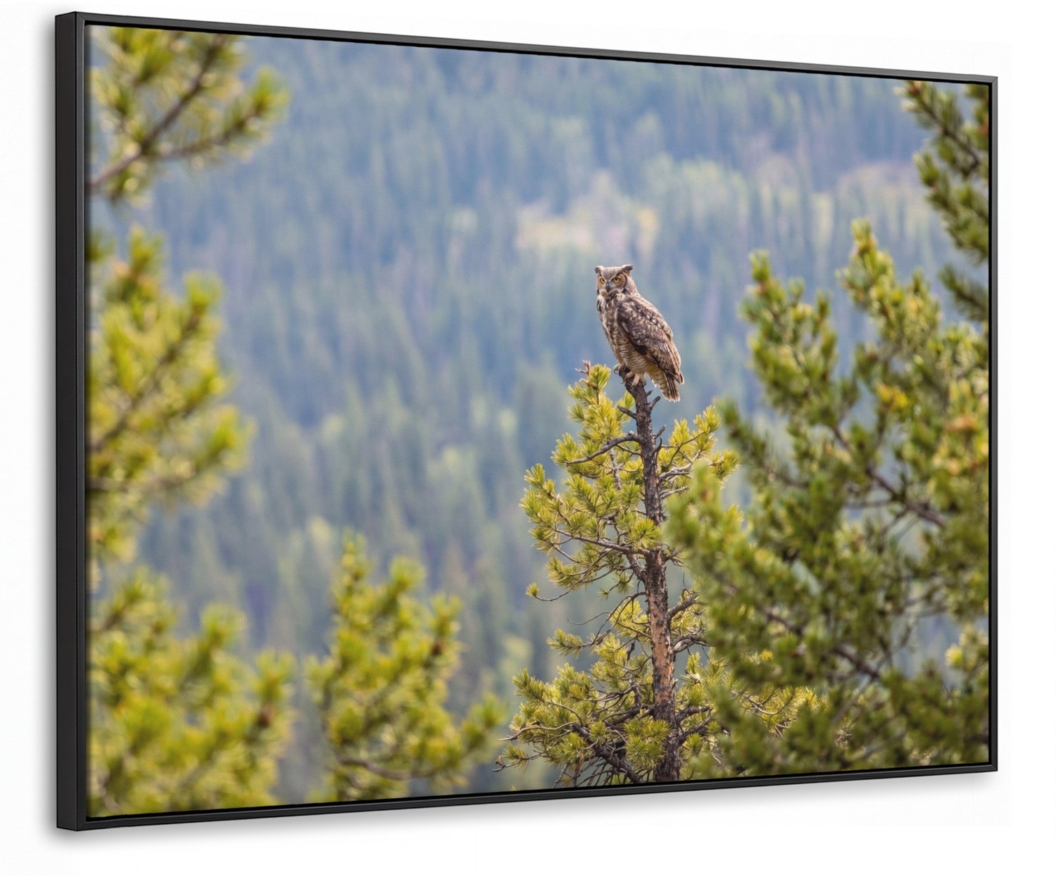 Canvas Schilderij met Baklijst 100x70cm - Uil - Oehoe - Bomen - Natuur - Muurdecoratie woonkamer - Slaapkamer decoratie - Kamer accessoires - Schilderijen op canvas met lijst