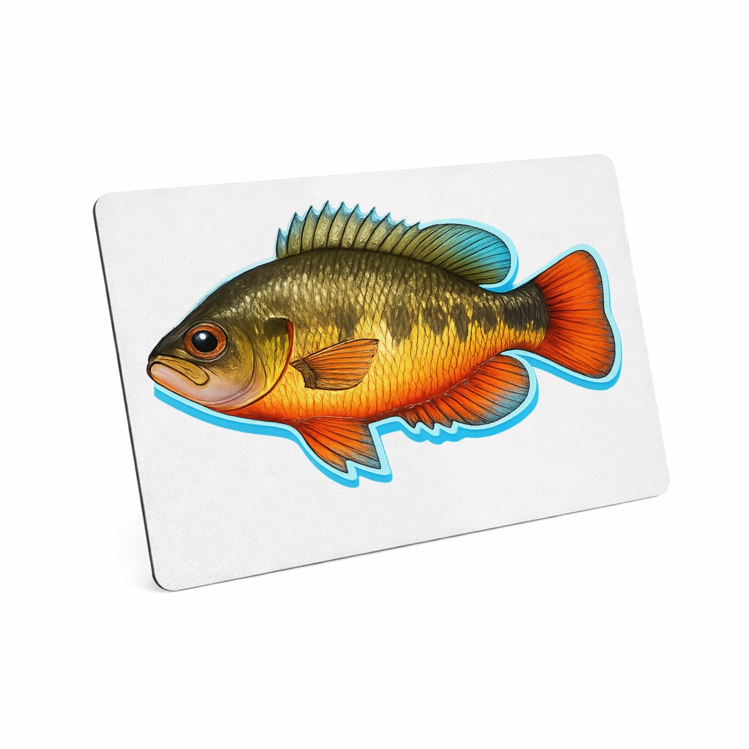 Mr Cadeautjes MDF magnetische fotolijst 28 x 19 - design Een realistische papegaai zijaanzicht met tropische kleuracc | cadeau Wit