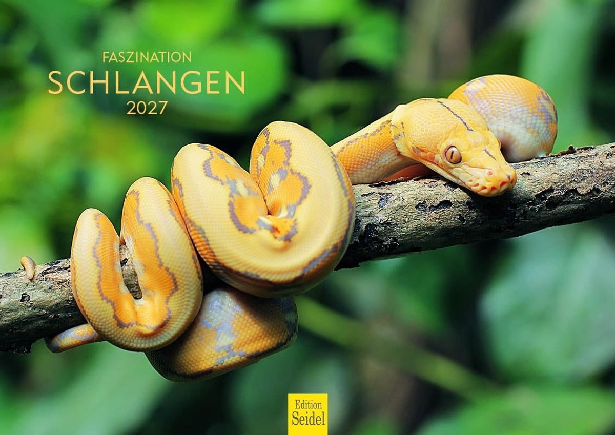 Elzusha - Wandkalender 2027 - Fascinatie slangen - A4-formaat