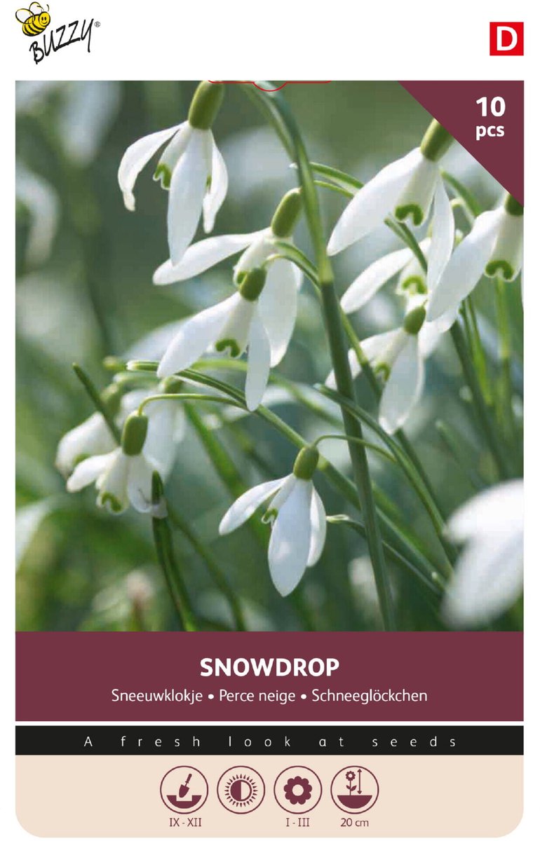 Buzzy Bloembol - Sneeuwklokje 10 stuks (Galanthus Elwesii)