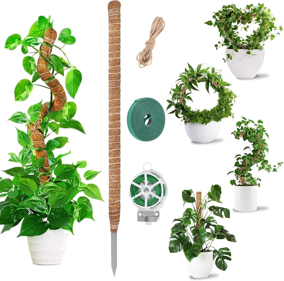 Natuurlijke Moss Pole van 120 cm voor Plantenondersteuning, Ideaal voor Monstera, Adansonii en Kaasplanten