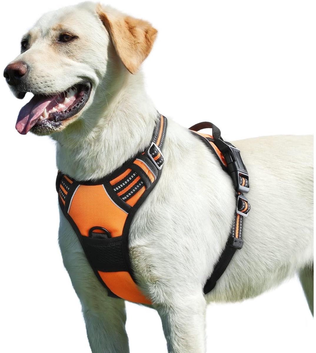 SSTRWGOOD Hondentuig - Hondengeschirr voor Grote Honden - Stevig en Slijtvast Tuig - Geschikt voor Dagelijks Uitlaten en Wandelen - Gemaakt van Duurzaam Polyester - Maat L - Oranje