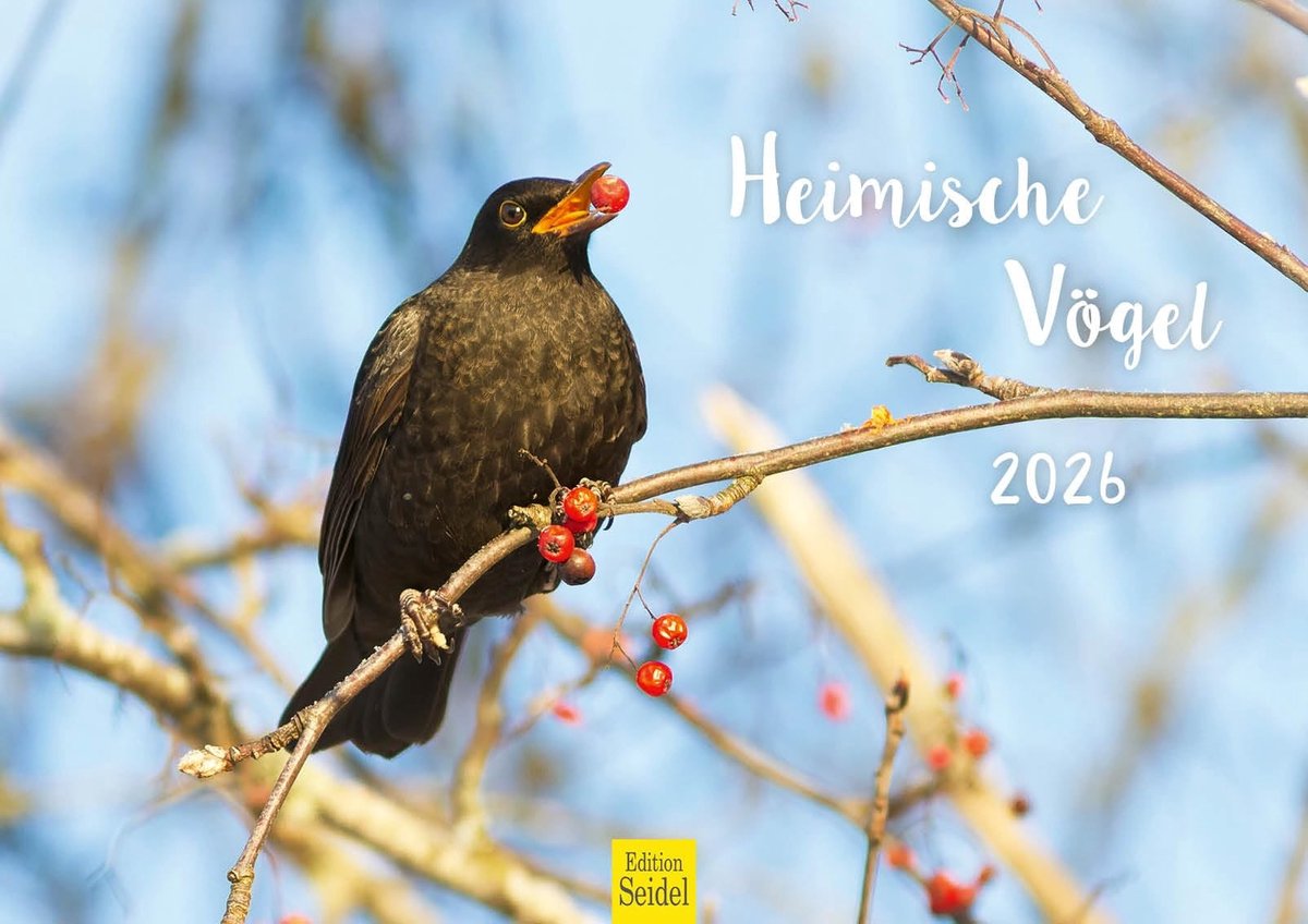 Elzusha - Wandkalender Vogels Europa 2026 - A3 - Hoogwaardige Afdruk