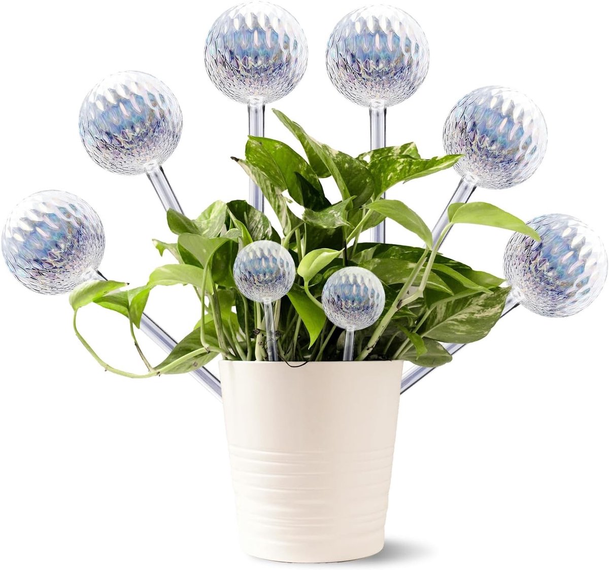 Planten Waterbollen - Gradient-108 - 26,5 x 7 cm - Glazen Zelfbewaterende Systeem - Voor Binnen en Buiten