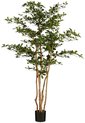 Kunstolijfboom met groene bladeren en bruine stammen, in een zwarte pot. Hoogte 183 cm.