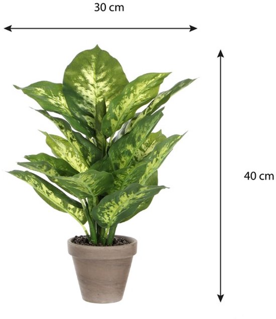 Plante artificielle Dieffenbachia, verte avec des taches vert clair, 40 cm de haut, 30 cm de large.