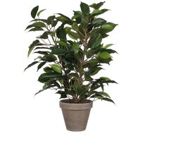 Mica Decorations Ficus Natasja Kunstplant in Bloempot Stan - H40 x Ø30 cm - Groen