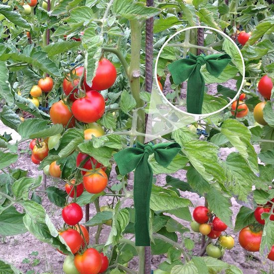 30 Meter Groene Tuinbinders - Elastische Knoopjes voor Planten, Klimplanten en Groenten, Ideaal voor Bomen en Tuinondersteuning — afbeelding 4