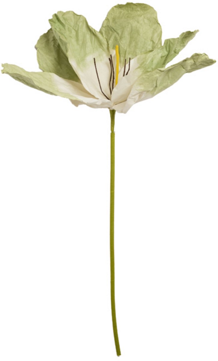 Light & Living Kunstplant LOEK - Groen - 32x32x120 cm