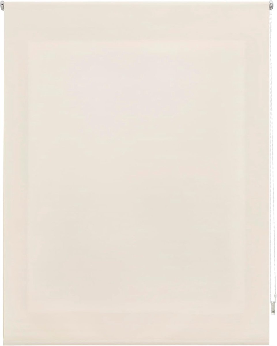 Rolgordijn, transparant, glad, 100 x 250 cm, stofmaat 97 x 245 cm, beige, voor ramen