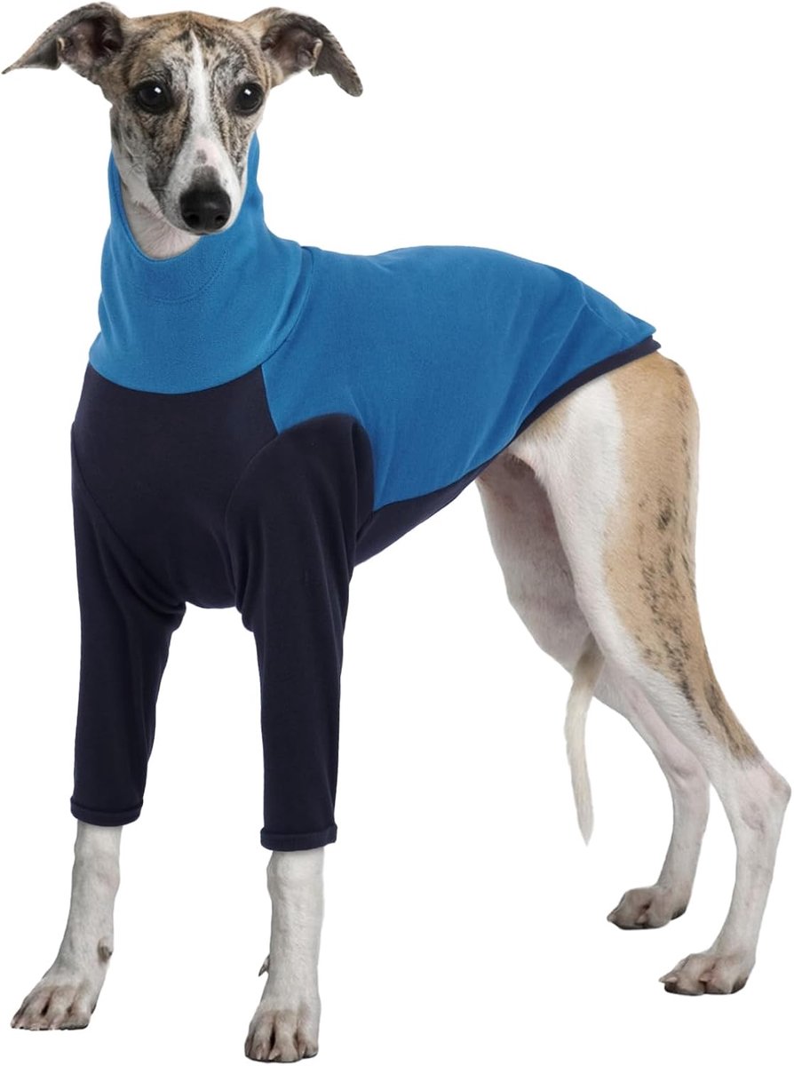 Winterjas, Salukis Trui Greyhound Winterkleding Sighthound Jas Hond Fleece Shirt Lente Herfst Hond Jumpsuit Pyjama (Blauw, 3XL)