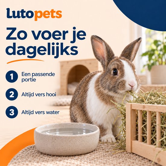 Een konijn eet hooi uit een houten voerbak, naast een waterbak. Een konijnenhuisje staat erachter.
