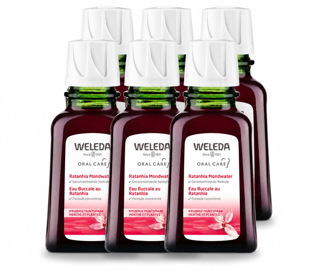 6 x WELEDA - Mondwater geconcentreerd - Ratanhia - 50 ml - Voordeelverpakking - 6 stuks