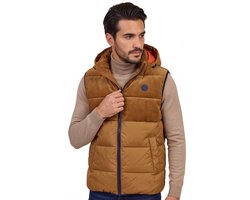 A Fish Named Fred bodywarmer bruin