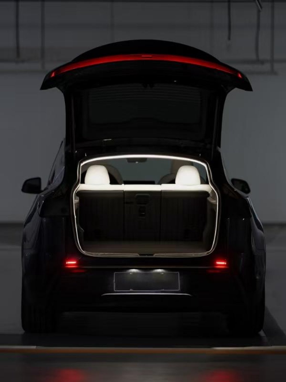 Wieport Kofferbak Aanpasbaar LED Licht Geschikt voor Model 3 Highland / Model Y Juniper (2024+)