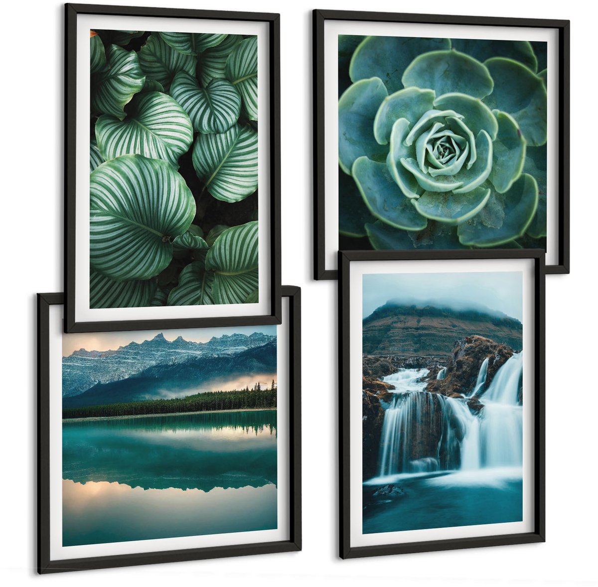 Coloray 4-Delige Schilderij Set - Close-Ups Van Planten, Bladeren En Vetplanten - 40 x 40 cm En 40 x 60 cm - Wanddecoratie - Moderne Interieurdecoratie - Muurdecoratie Zwarte lijst