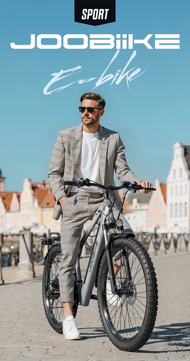 JOOBIKE JOO2 E-bike - 25 km/u - 29inch - 50km actieradius - 48V16Ah accu - grijs — afbeelding 3