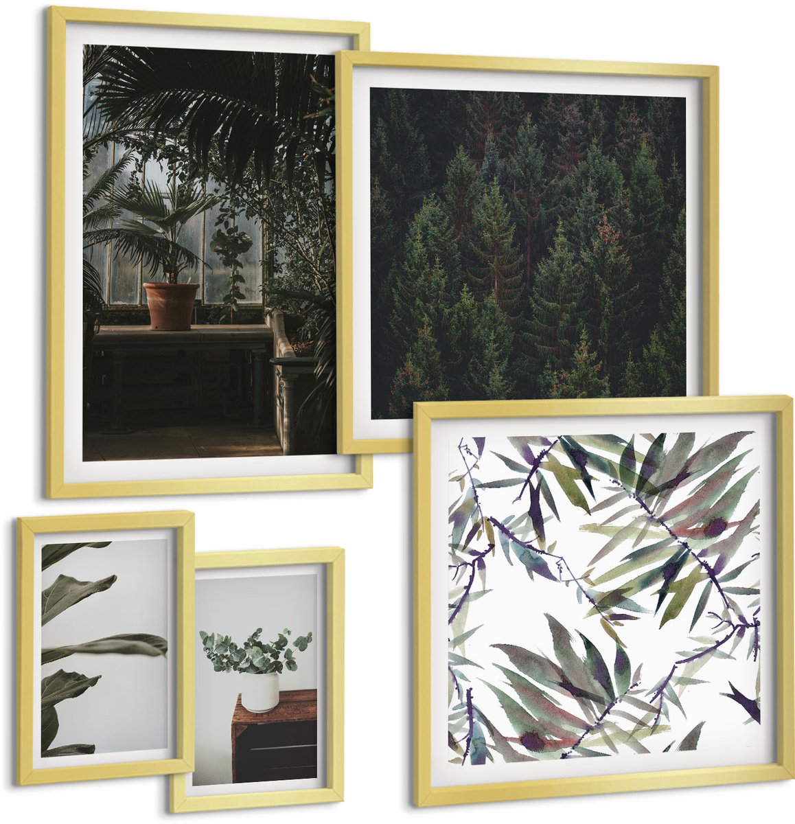 Coloray 5-Delige Schilderij Set - Plantenmotieven En Natuurlijke Accenten In De Groene Oase - 50 x 50 cm, 20 x 30 cm En 40 x 60 cm - Stijlvolle Wanddecoratie - Interieur