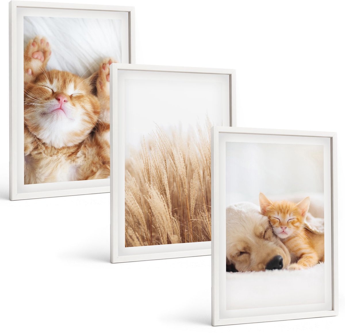 Coloray 3-Delige Schilderij Set - Schattige Dieren: Katten, Honden, Zacht Gras, Boho-Stijl. - 40 x 60 - Wanddecoratie - Schilderijen Set - Kantoor - Stijlvolle Muurdecoratie