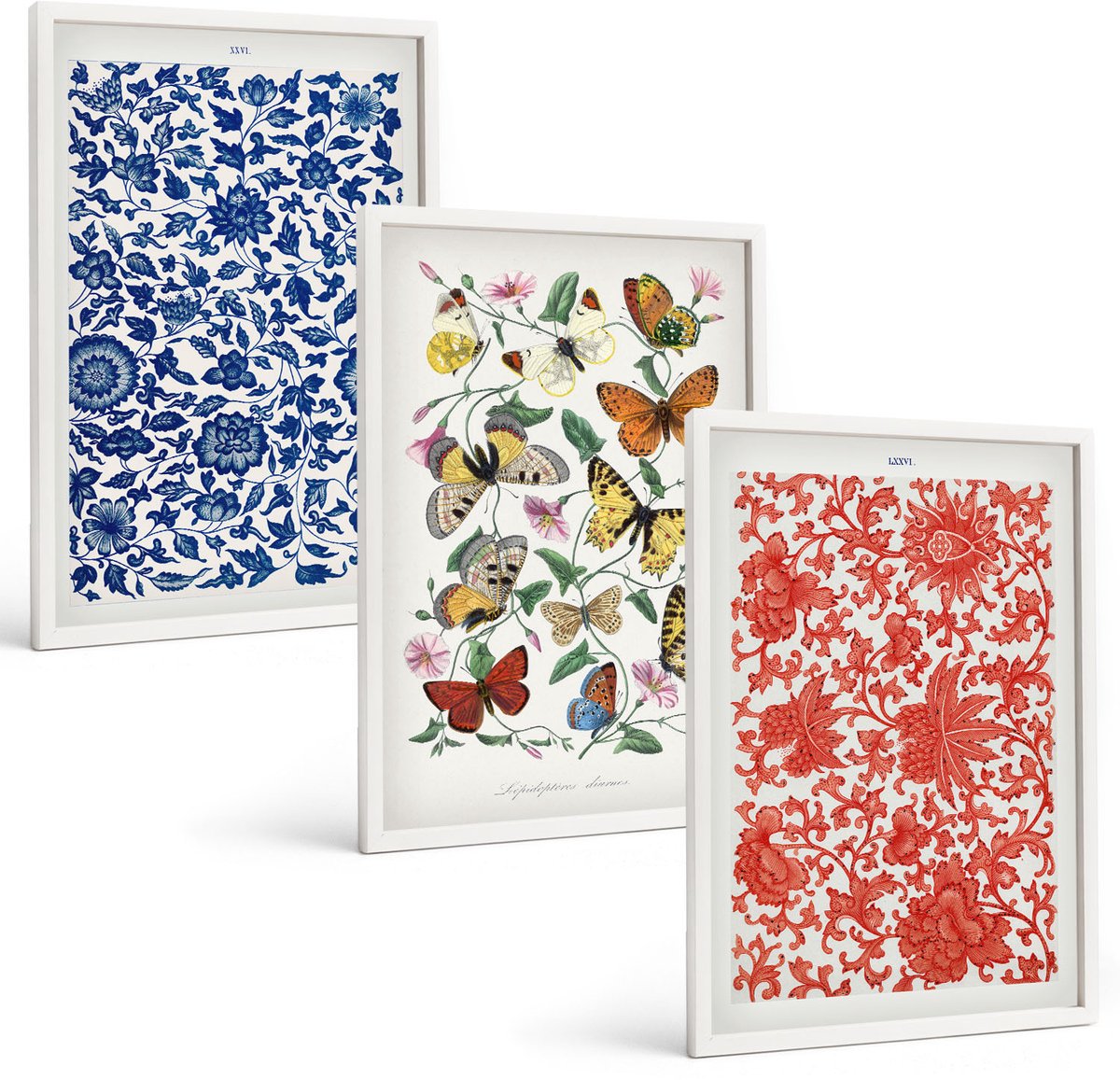 Coloray 3-Delige Schilderij Set - Vintage Posters Met Bloemen, Vlinders En Ornamenten - 40 x 60 - Stijlvolle Muurdecoratie - Kantoor - Wanddecoratie