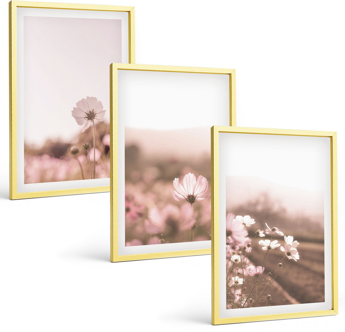 Coloray 3-Delige Schilderij Set - Wilde Bloemen In De Weiden In Een Romantisch Zomerlandschap - 40 x 40 cm En 40 x 60 cm - Muurdecoratie - Wanddecoratie - Hal
