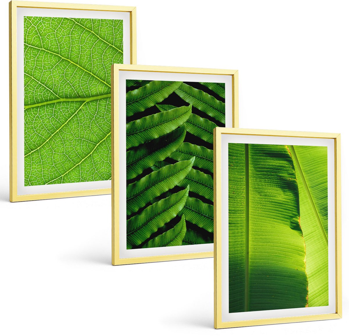 Coloray 3-Delige Schilderij Set - Aziatische Schilderijen: Landschappen En Portretten In De Japandi-Stijl. - 40 x 40 cm En 40 x 60 cm - Stijlvolle Wanddecoratie - Interieur - Decoratieve Schilderijen