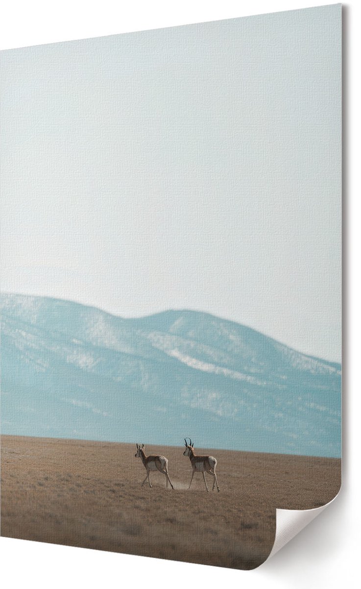 Coloray Polycanvas Wandposter - Rozenintimiteit, Fotografie - A3 - Beige Illustratie - Rechthoek - Canvasposter - Woonkamer, Slaapkamer, Kantoor - Expressief