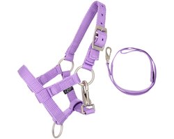 QHP - Halsterset Hobby Horse - Lila - LET OP! BETREFT ALLEEN HET HALSTER