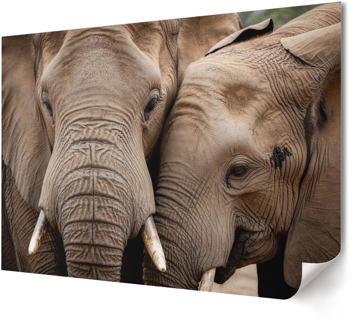 Coloray Polycanvas Wandposter - Berglandschap, Fotografie - A4 - Grijs Illustratie - Rechthoek - Interieurdecoratie - Woonkamer, Slaapkamer, Kantoor - Klassiek