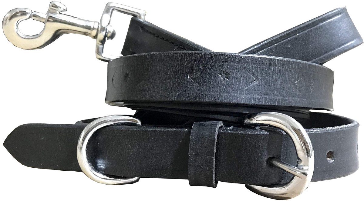 BRADLEY CROMPTON Echt leer bijpassende paar halsband en lood set S - ShopVlot
