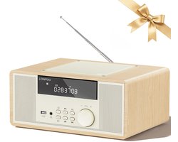 LONPOO Compacte stereo-installatie 30W RMS soundbox met cd-speler, Bluetooth, FM-radio, USB/AUX-ingang - ShopVlot