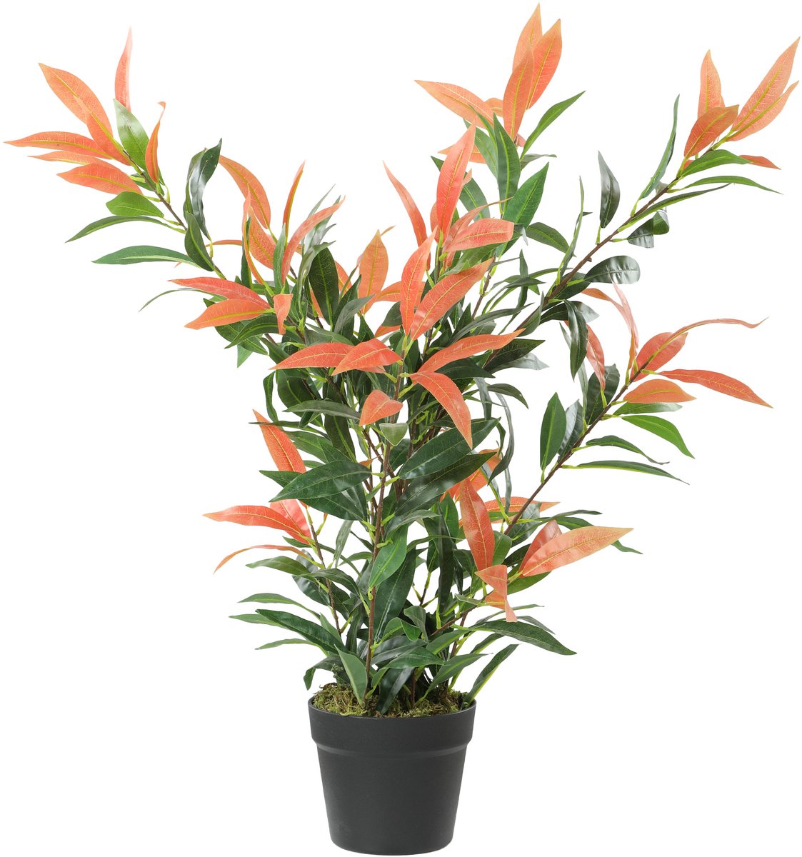 Homcom Kunstplant Photinia met cementen voet - Kunstboom - Nepplant - Rood en groen Rood, Groen