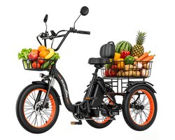 ZAZAWORK CF750 Elektrische driewieler - fiets voor boodschappen - 20 inch - 20Ah