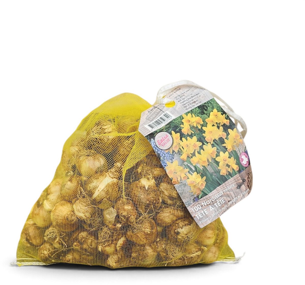 Prins narcis Tete a Tete 100 bollen