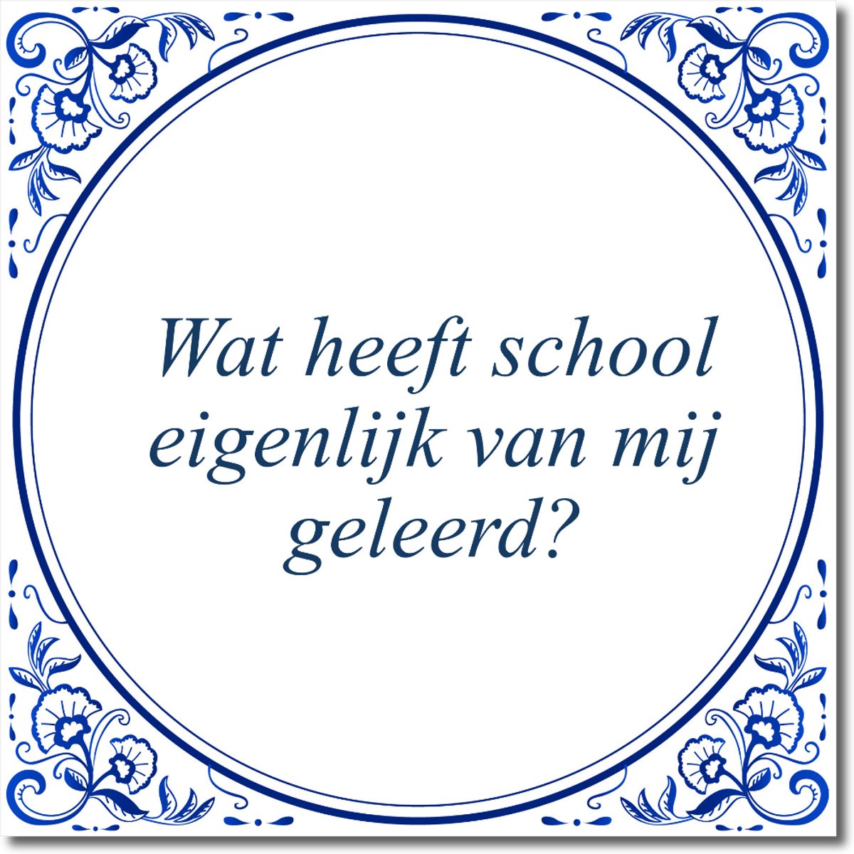 De Tegeltjesfabriek Tegeltje: Wat heeft school eigenlijk van mij geleerd? (met hangertje) wit en blauw
