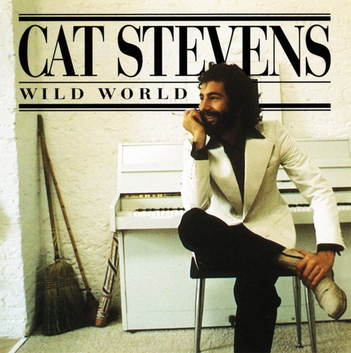 Cat Stevens : Wild World CD