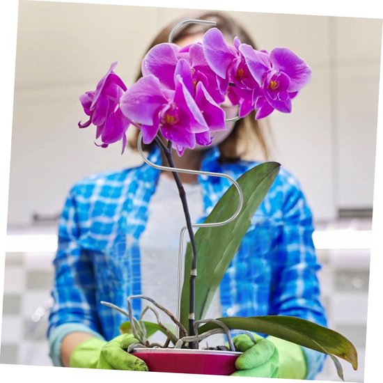 2 Stuks Verstelbare Plant Klimstructuur van Roestvrij Ondersteunende Rekken voor Klimplanten Tuinbeplanting — afbeelding 4
