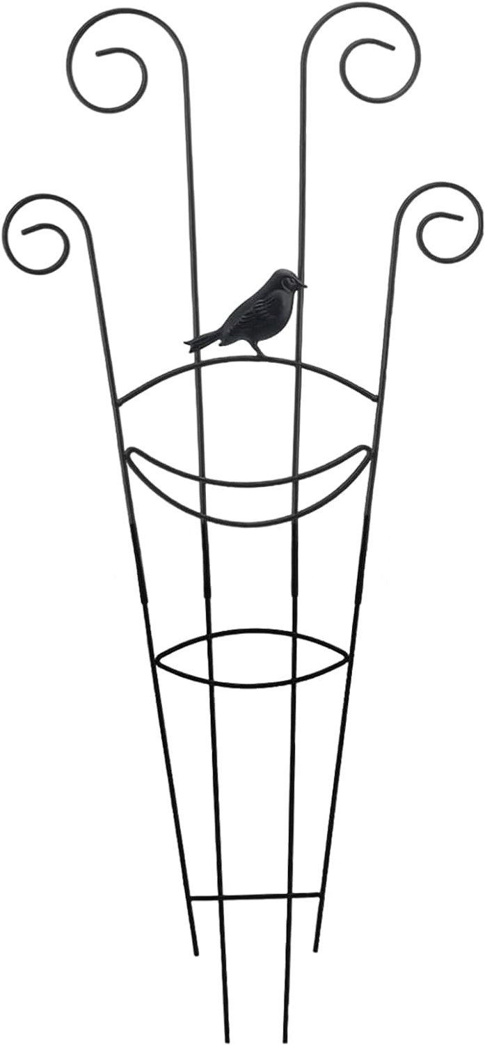 Tuin Klimrek Metale Plantensteun Constructie