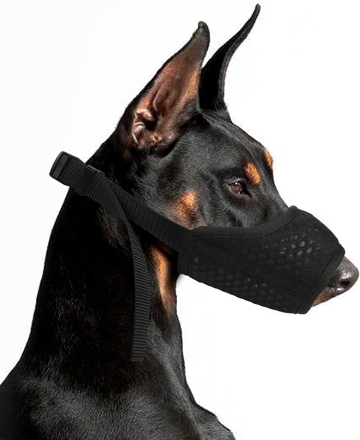 Ademend Hondenmuilkorf van Mesh en Duurzaam Nylon, Verstelbaar en Geschikt voor Kleine, Middelgrote en Grote Honden, Voorkomt Eten, Bijten en Kauwen (L, Zwart)