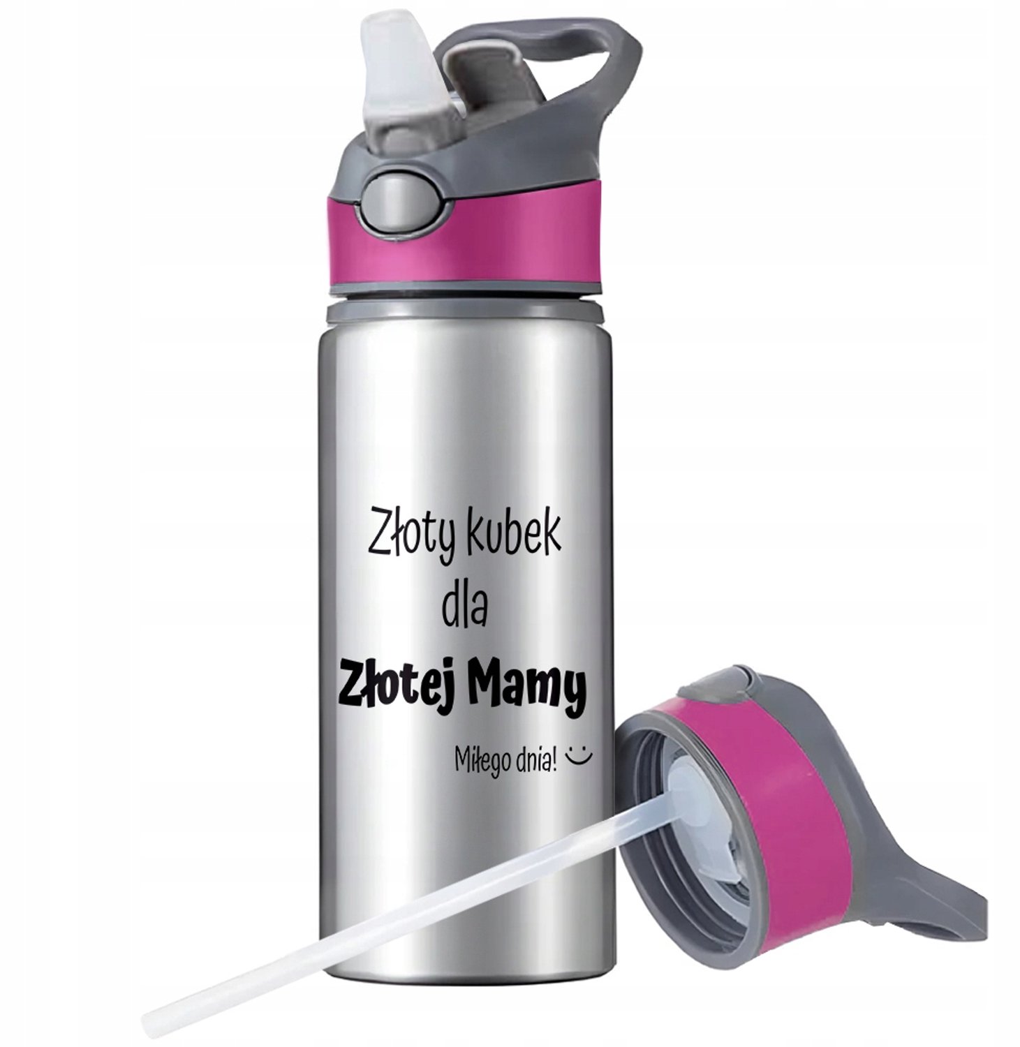 Aluminium Sport Bidon 650ml met Rietje en Handvat - Zilver