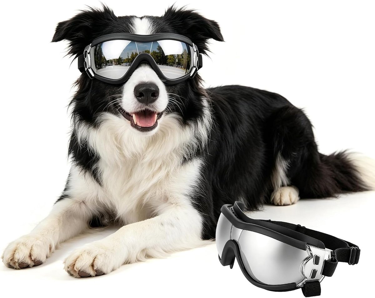 Zonnebril voor grote honden, UV-bestendig, winddicht, met verstelbare elastische band, zonnebril voor grote rassen, zilver, L