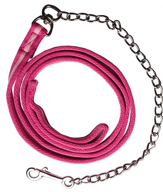 Hondenriem in fel roze met wit gestreepte band en metalen ketting en clip.