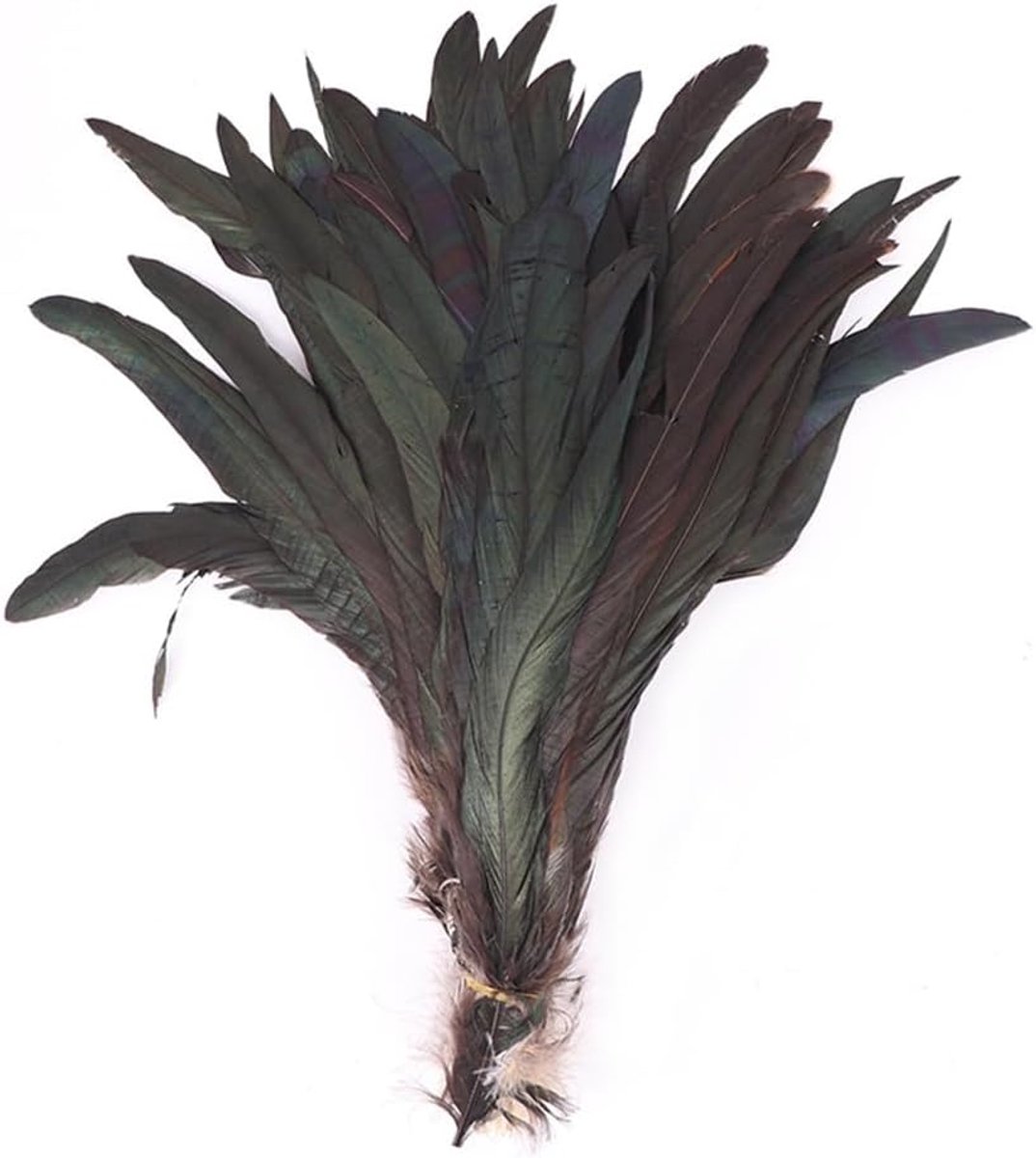 Veren, natuurlijke veren van haan, staartveren, kleurrijk, knutselen, veren, vogelveren, sieradenveren voor doe-het-zelf dromenvanger, carnaval, feest, kostuums