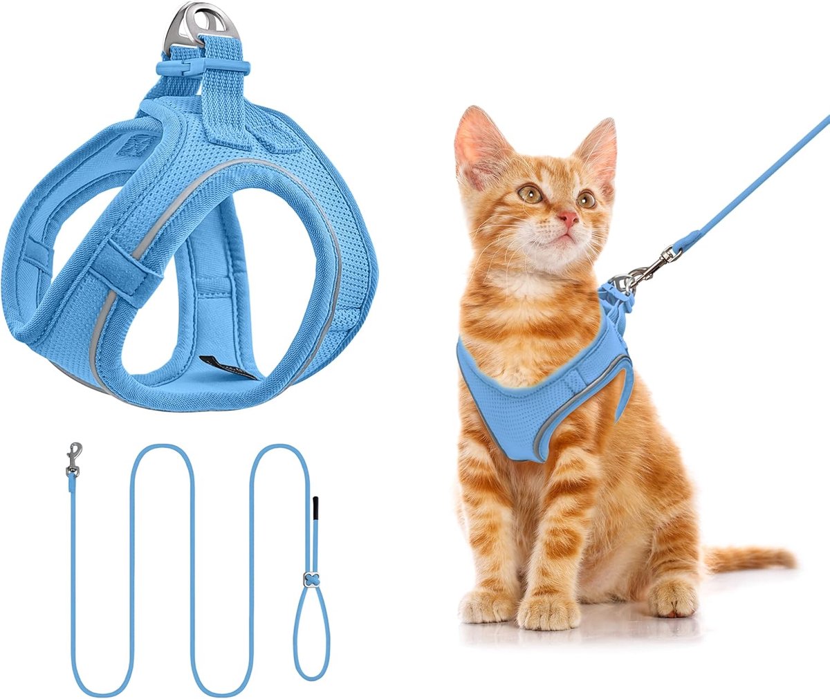 Kattenharnas en riem set voor Kitten (XXXS, blauw)